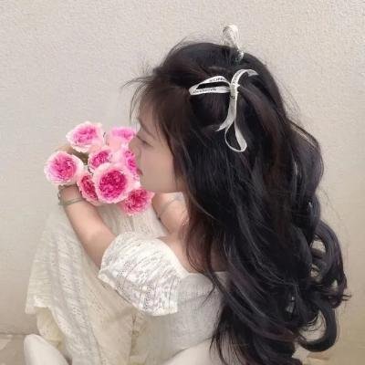 阿妮塔与加里波第